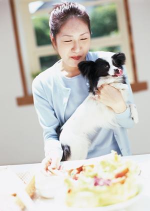 シロアリ駆除ならアサンテ｜即日対応、土日祝日も受付可能な安心のサービス